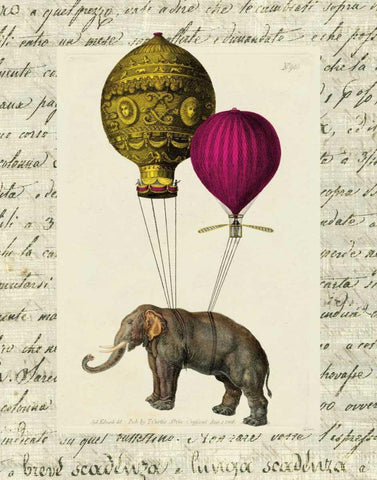 Elephant Ride II v.2 White Modern Wood Framed Art Print with Double Matting by Schlabach, Sue