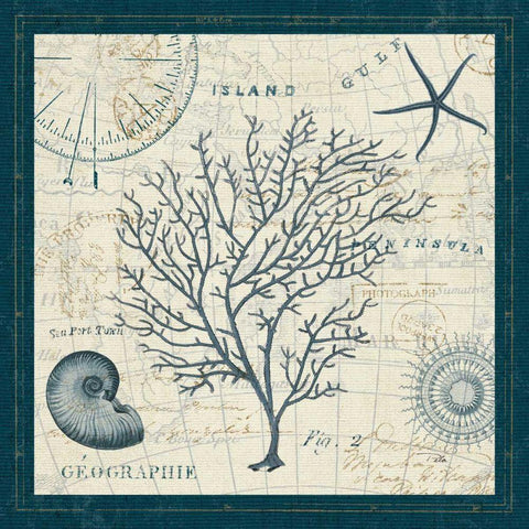 Ocean Life IV Black Ornate Wood Framed Art Print with Double Matting by ERR, Pela