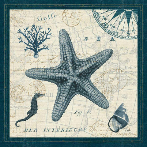 Ocean Life V White Modern Wood Framed Art Print by ERR, Pela