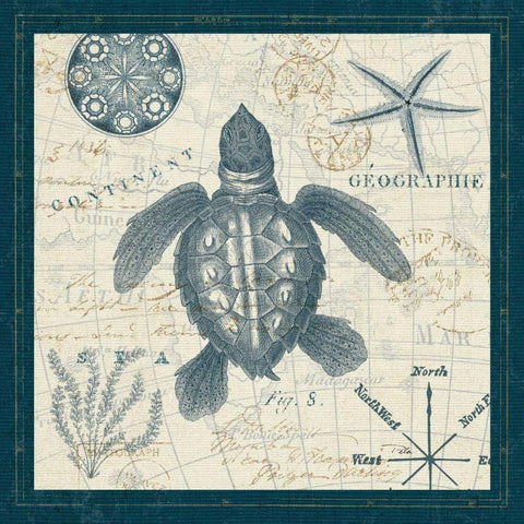 Ocean Life VI Black Modern Wood Framed Art Print by ERR, Pela
