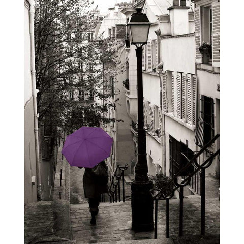 Paris Stroll II Purple Umbrella Black Modern Wood Framed Art Print by Schlabach, Sue