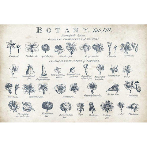 Botany Tab VIII Indigo and White Gold Ornate Wood Framed Art Print with Double Matting by Wild Apple Portfolio