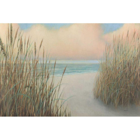 Beach Trail I Black Modern Wood Framed Art Print with Double Matting by Wiens, James