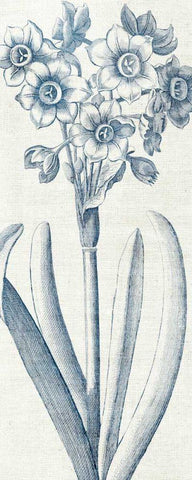 Eden I  Indigo and White Black Ornate Wood Framed Art Print with Double Matting by Wild Apple Portfolio