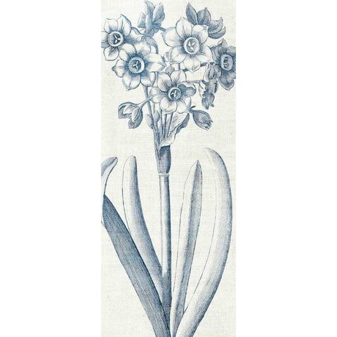 Eden I  Indigo and White Black Modern Wood Framed Art Print by Wild Apple Portfolio