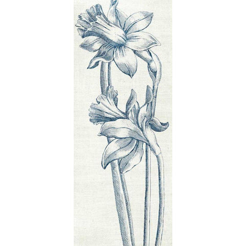 Eden II  Indigo and White Black Modern Wood Framed Art Print with Double Matting by Wild Apple Portfolio