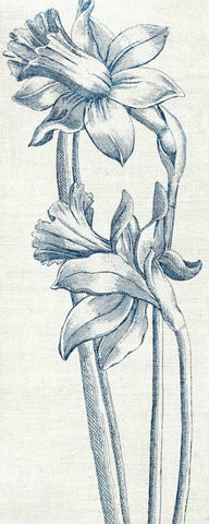 Eden II  Indigo and White White Modern Wood Framed Art Print with Double Matting by Wild Apple Portfolio