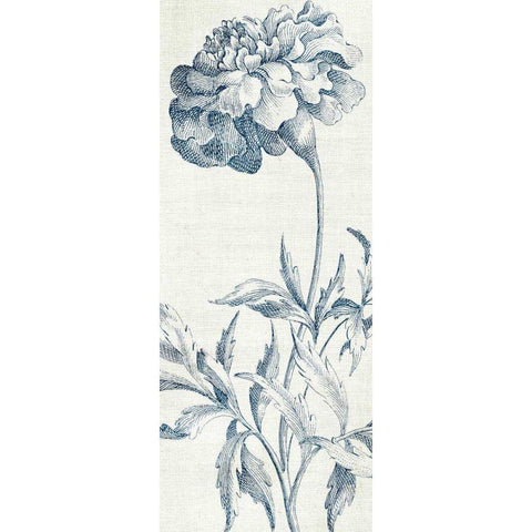 Eden III  Indigo and White Black Modern Wood Framed Art Print with Double Matting by Wild Apple Portfolio