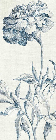 Eden III  Indigo and White White Modern Wood Framed Art Print with Double Matting by Wild Apple Portfolio