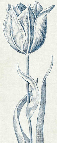 Eden IV  Indigo and White Black Ornate Wood Framed Art Print with Double Matting by Wild Apple Portfolio