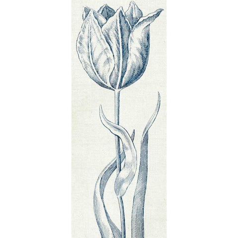 Eden IV  Indigo and White Black Modern Wood Framed Art Print by Wild Apple Portfolio