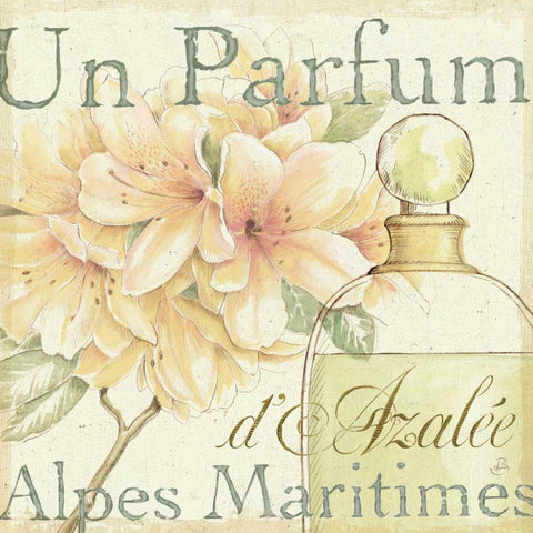 Fleurs and Parfum III White Modern Wood Framed Art Print with Double Matting by Brissonnet, Daphne