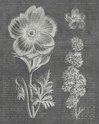 Eden Spring I Gray Black Ornate Wood Framed Art Print with Double Matting by Wild Apple Portfolio