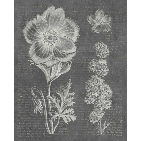 Eden Spring I Gray Gold Ornate Wood Framed Art Print with Double Matting by Wild Apple Portfolio