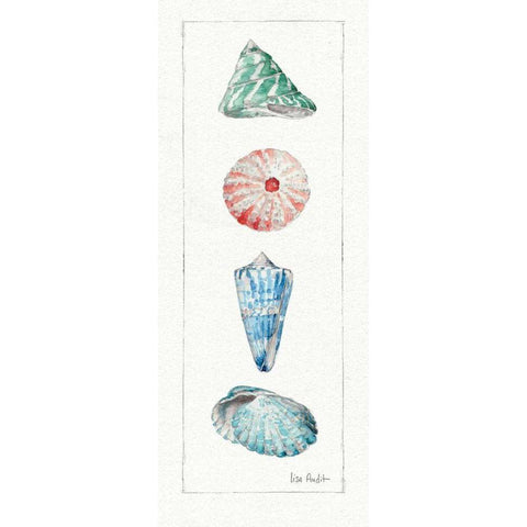 Sea Finds III White Modern Wood Framed Art Print by Audit, Lisa