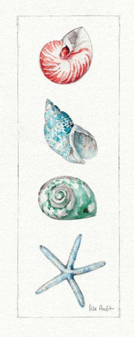 Sea Finds IV Black Ornate Wood Framed Art Print with Double Matting by Audit, Lisa