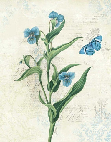 Booked Blue I Black Ornate Wood Framed Art Print with Double Matting by Pertiet, Katie