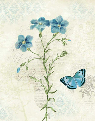 Booked Blue III Black Ornate Wood Framed Art Print with Double Matting by Pertiet, Katie