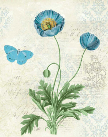 Booked Blue IV Black Ornate Wood Framed Art Print with Double Matting by Pertiet, Katie