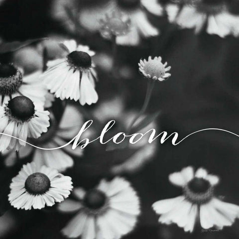 Bloom Black Ornate Wood Framed Art Print with Double Matting by Marshall, Laura