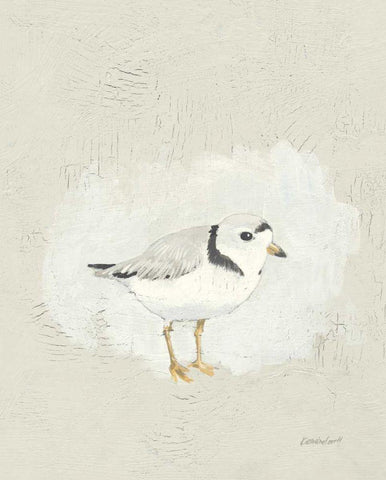 Sea Birds I White Modern Wood Framed Art Print with Double Matting by Lovell, Kathrine
