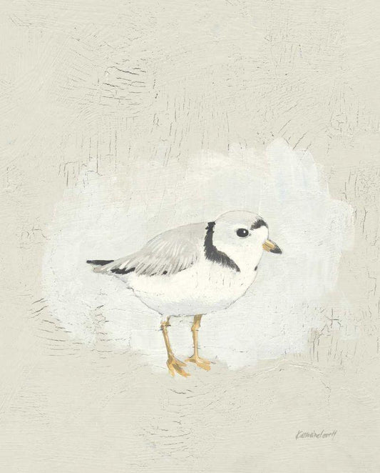 Image Only
