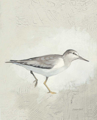 Sea Birds III White Modern Wood Framed Art Print with Double Matting by Lovell, Kathrine