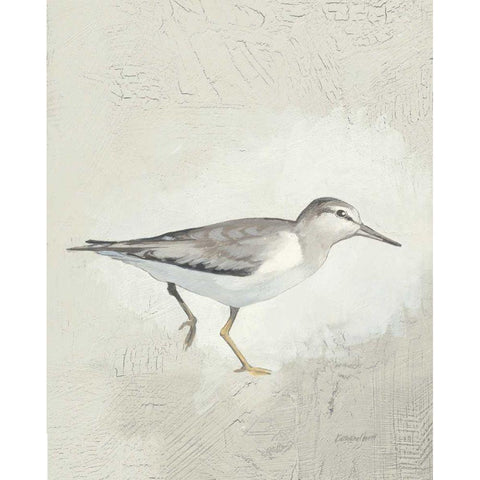 Sea Birds III White Modern Wood Framed Art Print by Lovell, Kathrine