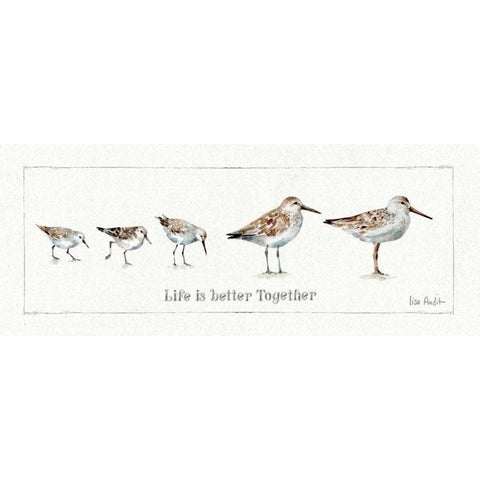 Pebbles and Sandpipers I Black Modern Wood Framed Art Print with Double Matting by Audit, Lisa