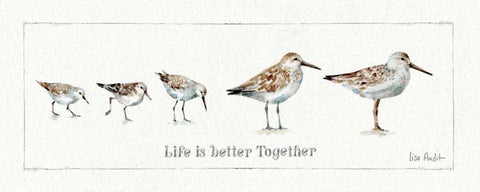 Pebbles and Sandpipers I White Modern Wood Framed Art Print with Double Matting by Audit, Lisa