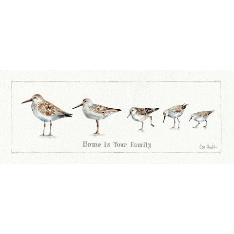 Pebbles and Sandpipers IX White Modern Wood Framed Art Print by Audit, Lisa