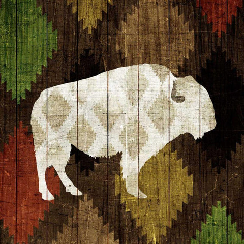 Southwest Lodge - Buffalo White Modern Wood Framed Art Print with Double Matting by Mullan, Michael