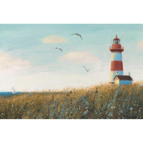 Seaside View I Black Modern Wood Framed Art Print with Double Matting by Wiens, James