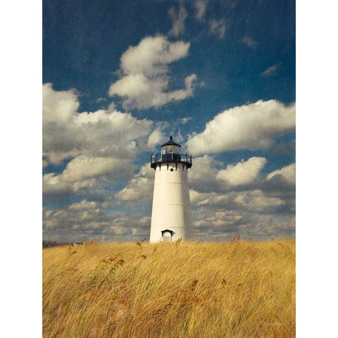 Autumn Light Black Modern Wood Framed Art Print with Double Matting by Gendreau, Katherine