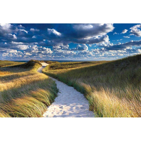 Philbin Beach Path White Modern Wood Framed Art Print by Gendreau, Katherine