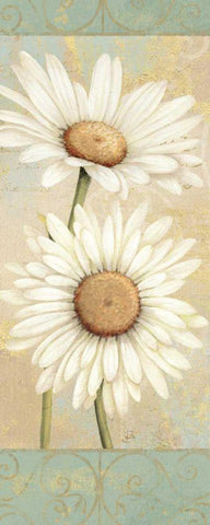 Beautiful Daisies I Black Ornate Wood Framed Art Print with Double Matting by Brissonnet, Daphne