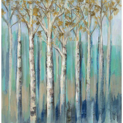 Birches at Dawn Black Modern Wood Framed Art Print with Double Matting by Vassileva, Silvia