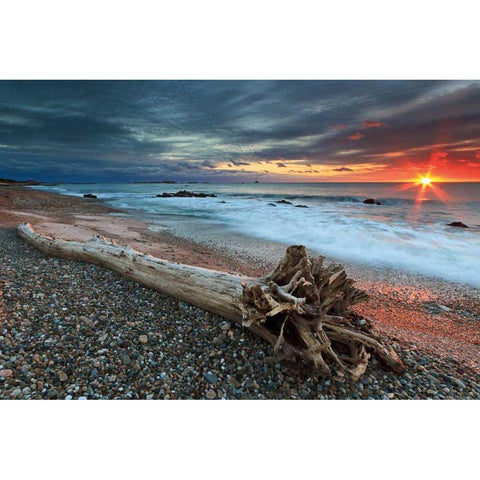 Sakonnet Driftwood Black Modern Wood Framed Art Print with Double Matting by Gendreau, Katherine
