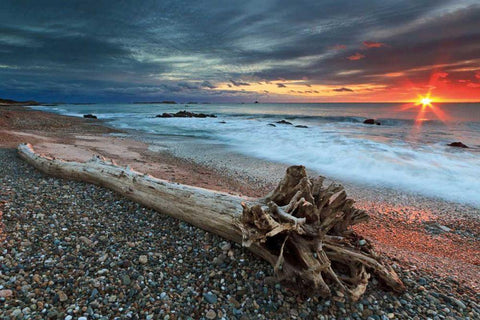 Sakonnet Driftwood Black Ornate Wood Framed Art Print with Double Matting by Gendreau, Katherine