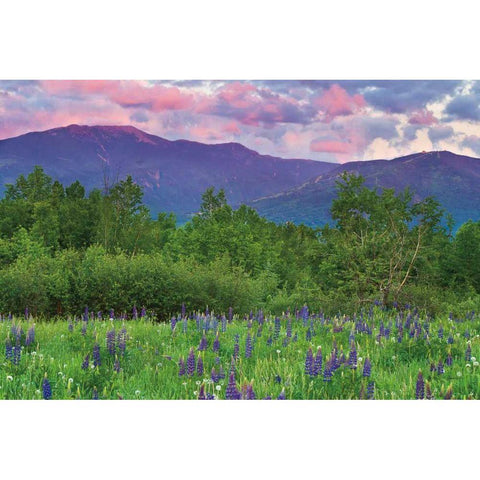 Layer Cake White Modern Wood Framed Art Print by Gendreau, Katherine