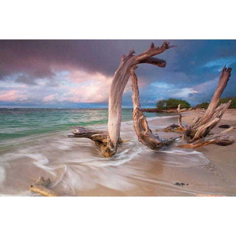 Driftwood Sunset Black Modern Wood Framed Art Print with Double Matting by Gendreau, Katherine