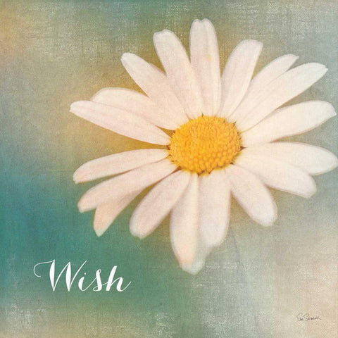 Daisy Wishes  White Modern Wood Framed Art Print by Schlabach, Sue