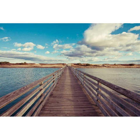Bridge to the Beach Black Modern Wood Framed Art Print by Gendreau, Katherine