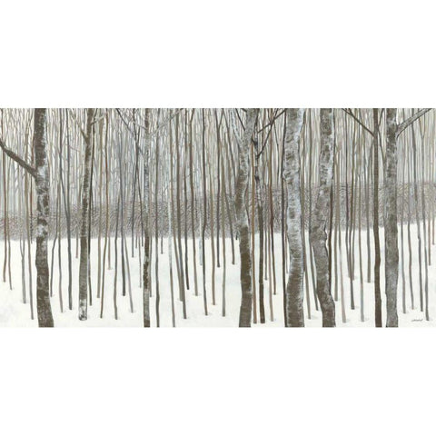 Woods in Winter  Black Modern Wood Framed Art Print with Double Matting by Lovell, Kathrine