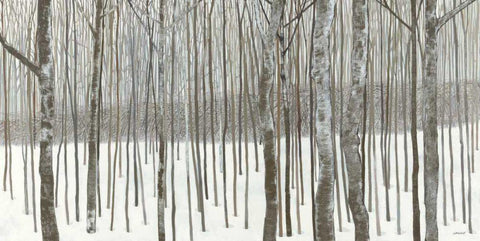 Woods in Winter  White Modern Wood Framed Art Print with Double Matting by Lovell, Kathrine