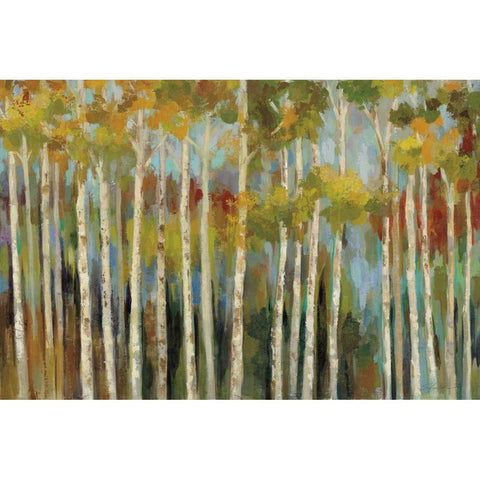 Young Forest III  White Modern Wood Framed Art Print by Vassileva, Silvia