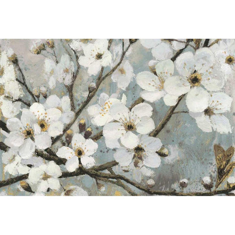 Cherry Blossoms I Blue White Modern Wood Framed Art Print by Wiens, James