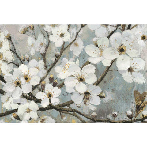 Cherry Blossoms I Blue Black Modern Wood Framed Art Print by Wiens, James