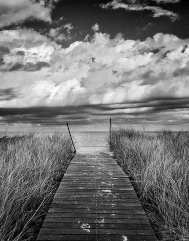 Oak Bluffs Beach Path Crop White Modern Wood Framed Art Print with Double Matting by Gendreau, Katherine