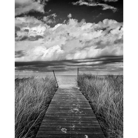 Oak Bluffs Beach Path Crop White Modern Wood Framed Art Print by Gendreau, Katherine